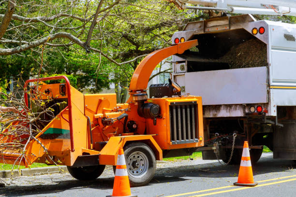 Best Leaf Removal  in Valatie, NY